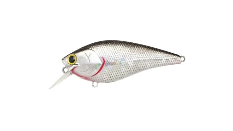 Lucky Craft Fat CB BDS 3