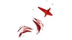 Magbay Daisy Chain Tuna Teaser