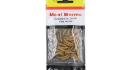 Magic Products Meal Worm Packaged Bait