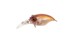 Megabass Griffon MR-X (BFS)