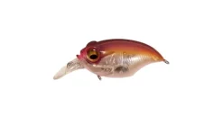 Megabass Griffon SR-X (BFS)