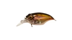 Megabass Griffon SR-X (BFS)
