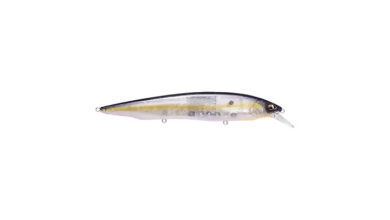 Megabass Kanata