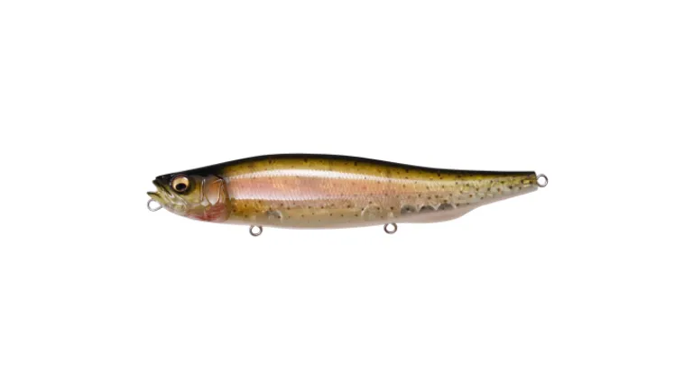 Megabass Megadog