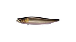 Megabass Megadog
