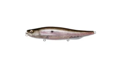 Megabass Megadog