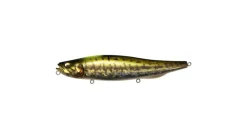 Megabass Megadog-X