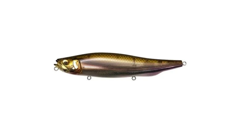 Megabass Megadog-X