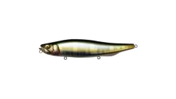 Megabass Megadog-X