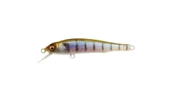 Megabass X-70 (BFS)