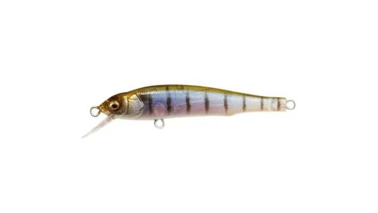 Megabass X-70 (BFS)