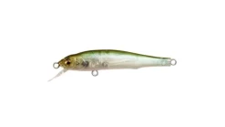 Megabass X-70 (BFS)