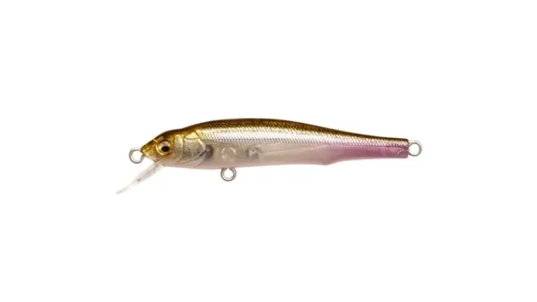 Megabass X-70 (BFS)