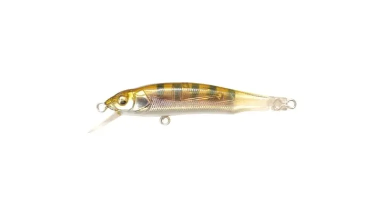 Megabass X-70 (BFS)