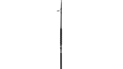 Phenix Axis Spinning Rods