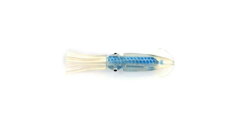 P-Line Rock Cod Rig