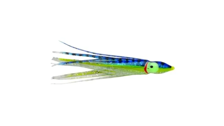 P-Line Sunrise Squid