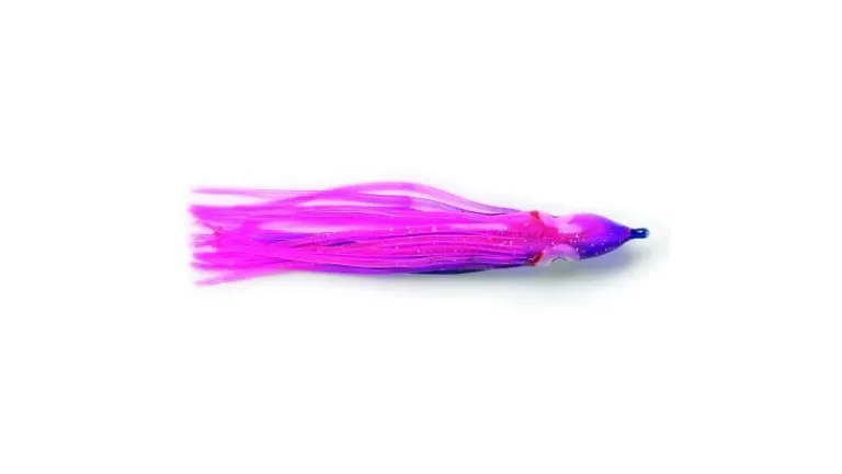 P-Line Sunrise Squid