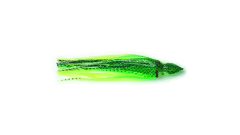 P-Line Sunrise Squid