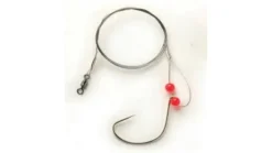 Pucci Sturgeon Rig Barbless