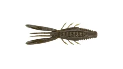 Rapala Crush City Bronco Bug
