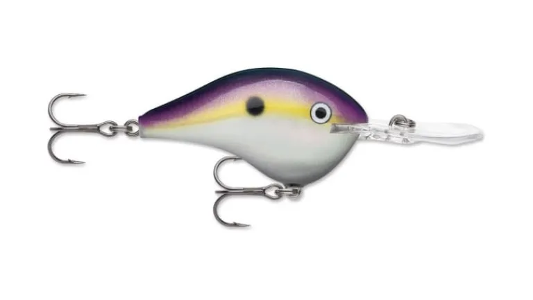 Rapala DT Series Crankbaits