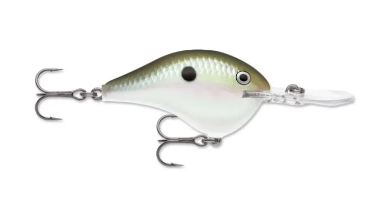 Rapala DT Series Crankbaits