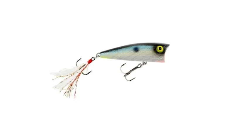 Rebel Pop R P71