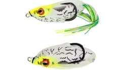 River2Sea Ish Monroe Phat Mat Daddy Frog