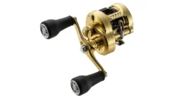 Shimano Calcutta Conquest MD Reels