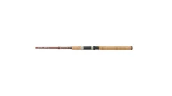 Shimano Solara Spinning Rods