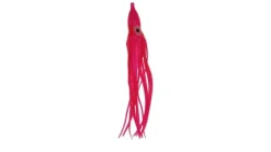 Silver Horde Octopus Squid