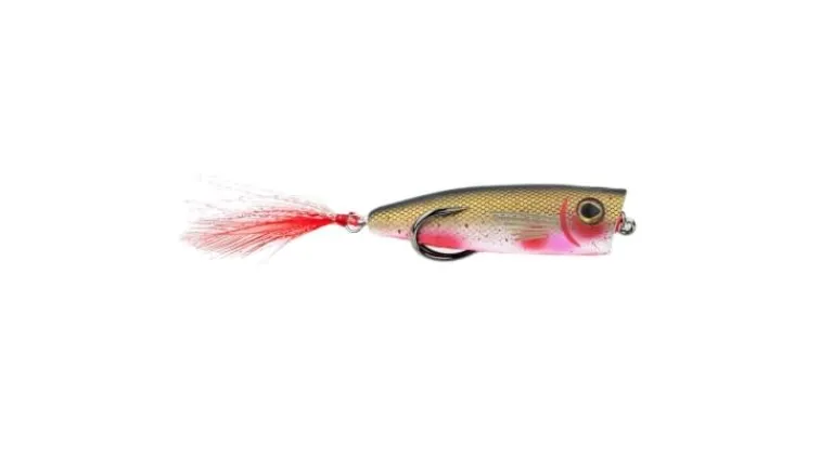 Snag Proof Zoo Pop