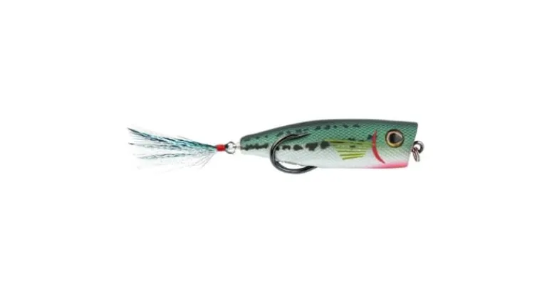 Snag Proof Zoo Pop
