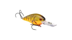 Strike King KVD Deep Diver Squarebill 1.5