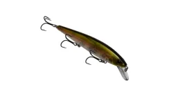 Strike King Kvd Elite 300 Jerkbait