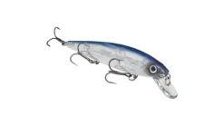 Strike King KVD Jerkbait