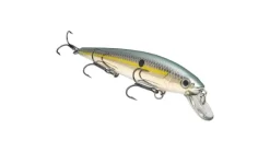 Strike King KVD Jerkbait
