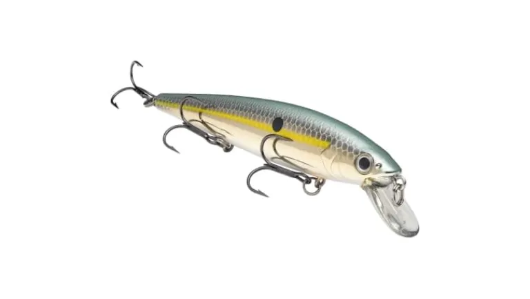 Strike King KVD Jerkbait