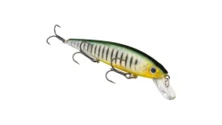 Strike King KVD Jerkbait