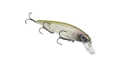 Strike King KVD Jerkbait
