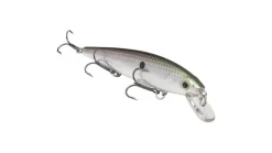 Strike King KVD Jerkbait