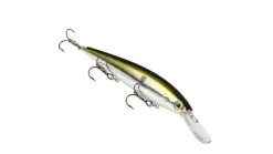 Strike King KVD Jerkbait