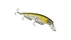 Strike King KVD Jerkbait