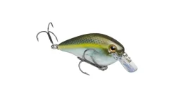 Strike King KVD Square Bill