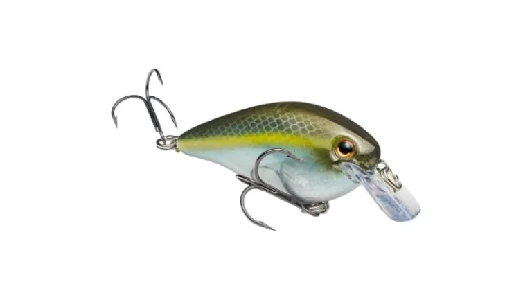 Strike King KVD Square Bill