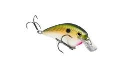 Strike King KVD Square Bill