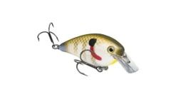 Strike King KVD Square Bill