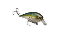 Strike King KVD Square Bill 2.5