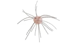 Strike King Tumbleweed Salted
